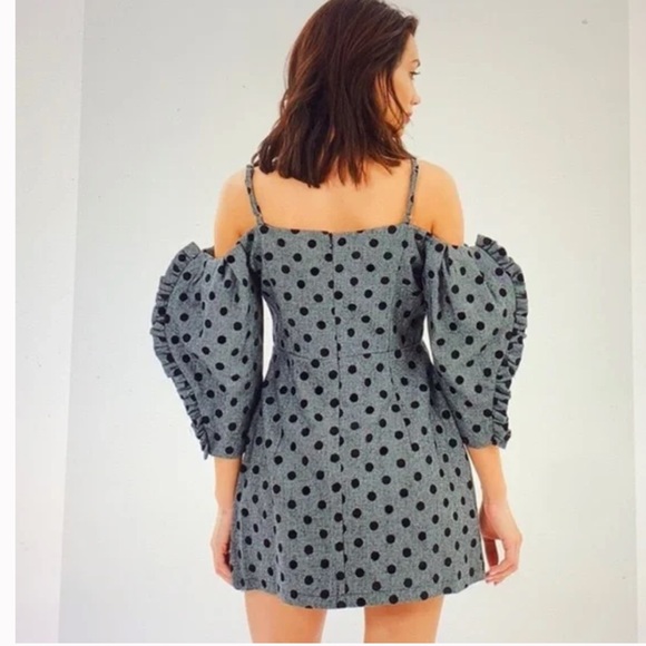 NWT Delphine The Label Hear Me Howl Polka Dot Dress in Gray 4 - Picture 9 of 9